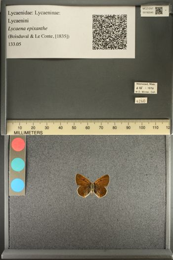 Media type: image;   Entomology 192540